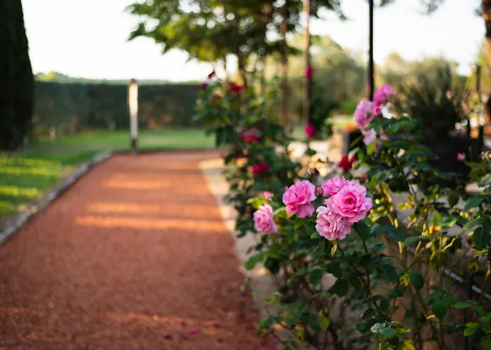 Hospedium La Parada Del Compte Otel